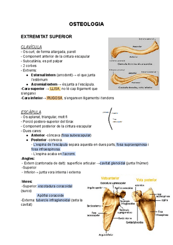 Osteologia-anatomia.pdf