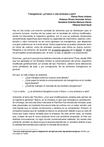 EnsayoComunicacion.pdf