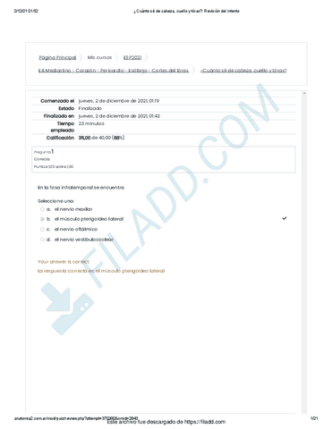 Cuanto-se-de-cabeza-cuello-y-torax-Revision-del-intento.pdf