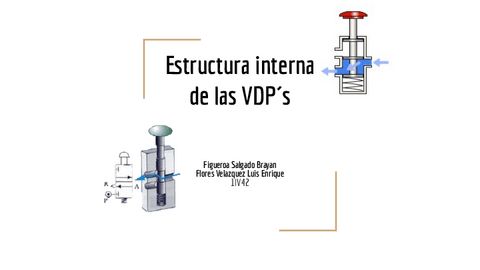 Estructura-interna-de-las-VDPs.pdf