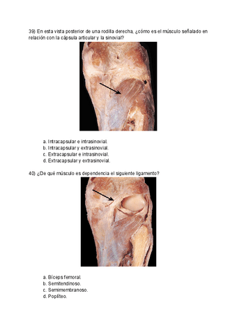 Esplacno-choicemerged-7.pdf