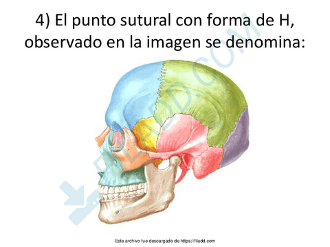 Esplacno-choicemerged-8.pdf