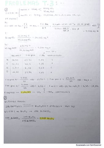 problemas-resueltos.pdf