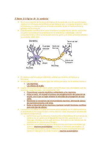2basesbiologicasconducta.pdf