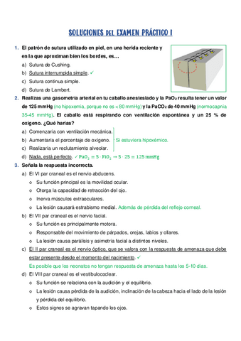 SOLUCIONES-del-EXAMEN-PRACTICO-I.pdf