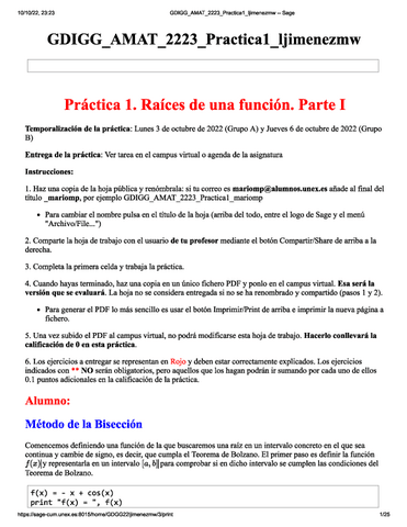 Practica-1-Amat.pdf