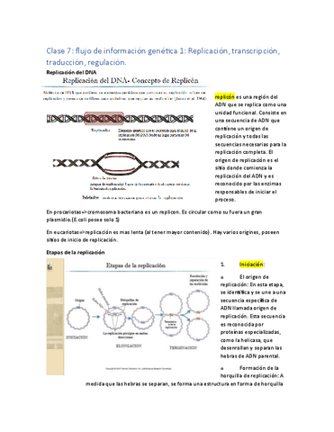 Clase-7.-Replicacion-trancripcion-transduccion-regulacion.pdf