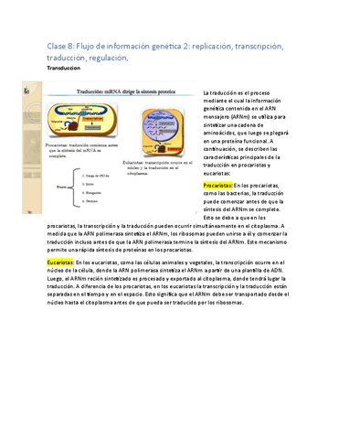 Clase-8.-Replicacion-trancripcion-transduccion-regulacion.pdf