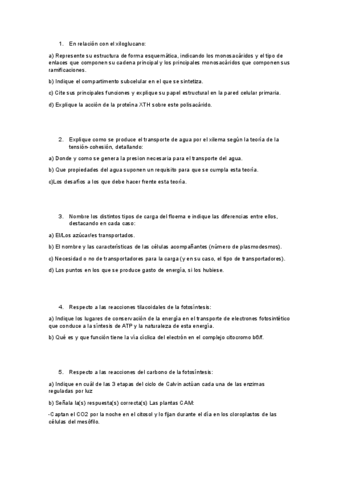 EXAMEN-FV-JUNIO-2023-AMBOS-CUATRIS.pdf