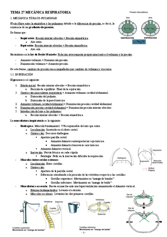 FISIOLOGIA-I-TEMA-27-MECANICA-RESPIRATORIA.pdf
