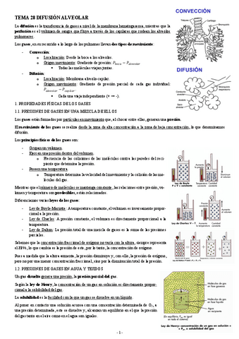 FISIOLOGIA-I-TEMA-28-DIFUSION-ALVEOLAR.pdf