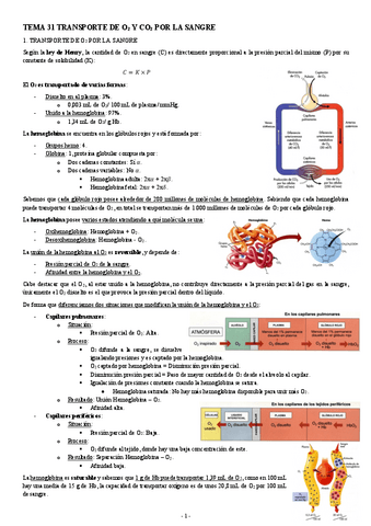 FISIOLOGIA-I-TEMA-31-TRANSPORTE-DE-O2-Y-CO2-POR-LA-SANGRE.pdf