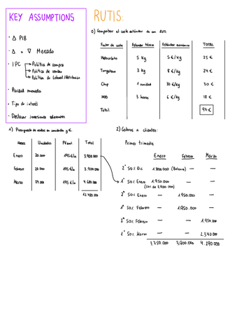 Rutis-Solucion.pdf