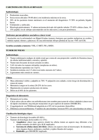 Oncogenetica-resumen.pdf