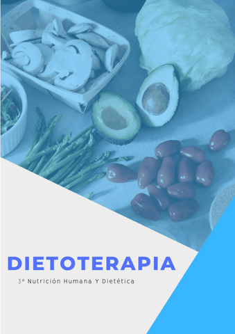 DIETOTERAPIA-COMPLETOS.pdf