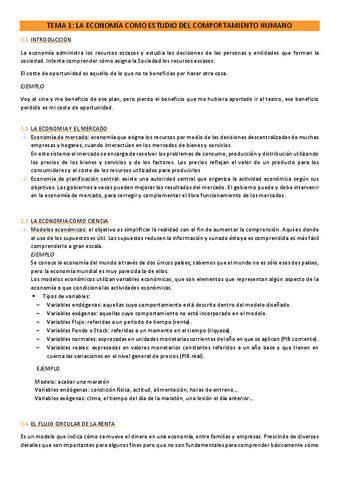 TEMA-1.pdf