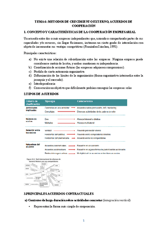 TEMA-6.pdf