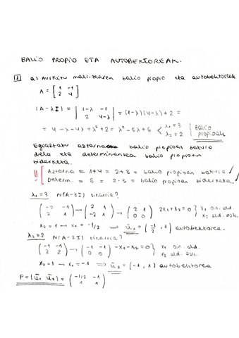 BalioPropioEtaAutobektoreak.pdf
