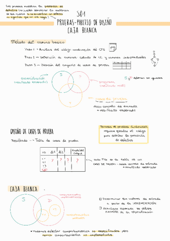 Resumen-S01-Caja-blanca-PPSS.pdf