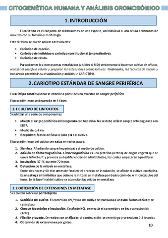 Citogenetica-humana.-tema-12.pdf