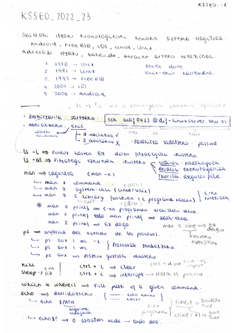 KSSEOSistemaEragileakEskemak.pdf