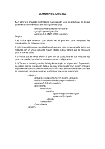 EXAMENPPSSJUNIO.pdf