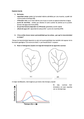 Examen-teoria.pdf