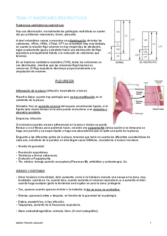 TEMA-17-FESC-III.pdf
