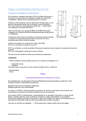 TEMA-15-FESC-III.pdf