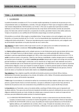 Apuntes Der. Penal II.pdf