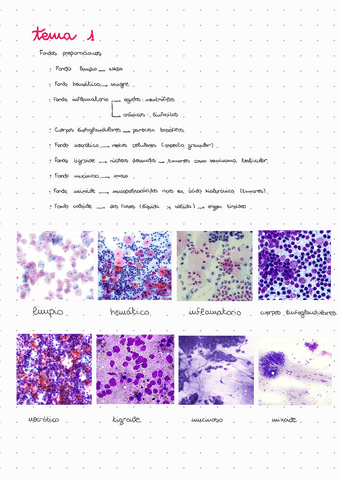 T1: citología diagnóstica y células sanguíneas.pdf