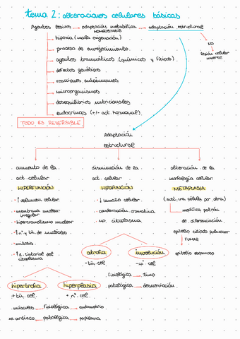 T2: alteraciones celulares básicas.pdf