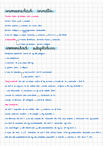 T8-ganglio-bazo-y-timo.pdf