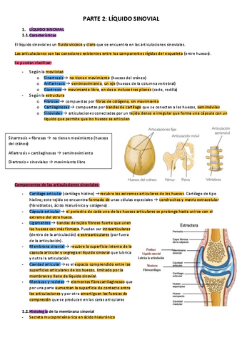 T7.2-Liquido-sinovial.pdf