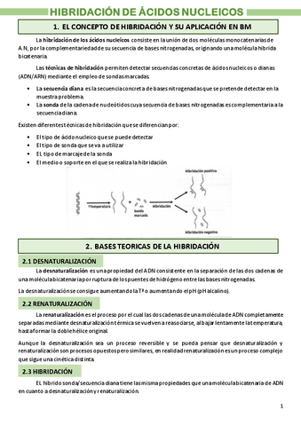 Apuntes-hibridacion.pdf
