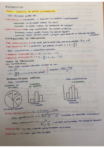 RESUMEN-ESTADISTICA-COMPLETO-APRUEBAS-SEGURO.pdf