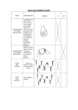 Hoja de observación.pdf