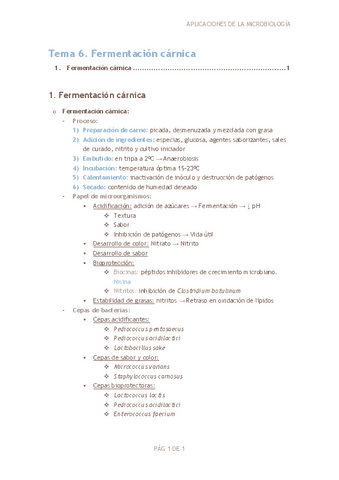 Tema-6.-Fermentaciones-carnicas.pdf