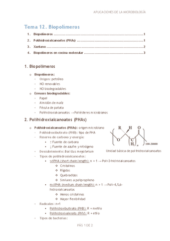 Tema-12.-Biopolimeros.pdf