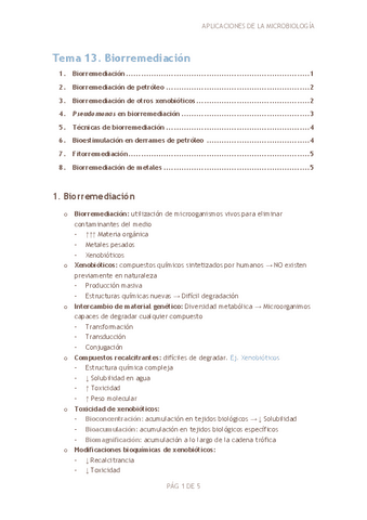 Tema-13.-Biorremediacion.pdf