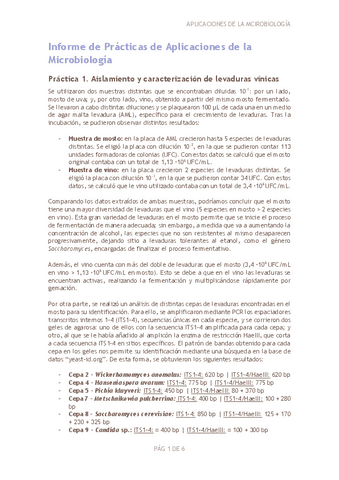 Informe-Practicas.pdf