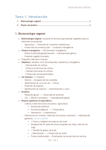 Tema-1.-Introduccion.pdf