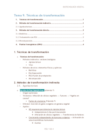 Tema-9.-Tecnicas-de-transformacion.pdf