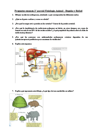 Examen-2o-parcial-Fisiologia-Animal.pdf
