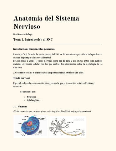 Anatomia.pdf