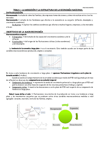 tema-1-macro.pdf