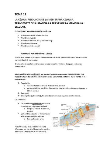 TEMA-11.-LA-CELULA-Y-EL-TRANSPORTE-DE-SUSTANCIAS-A-TRAVES-DE-LA-MEMBRANA.pdf