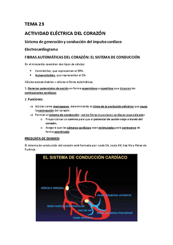 TEMA-23.-ACTIVIDAD-ELECTRICA-DEL-CORAZON.pdf