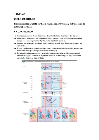 TEMA-24.-CICLO-CARDIACO.pdf