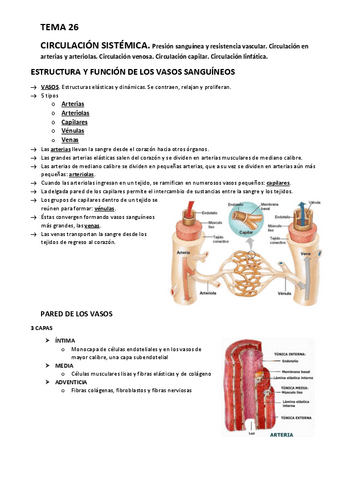 TEMA-26-y-27.-CIRCULACION-SISTEMICA.-CONTROL-NERVIOSO-Y-HUMORAL.pdf